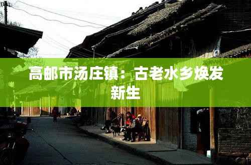 合同样本 第367页