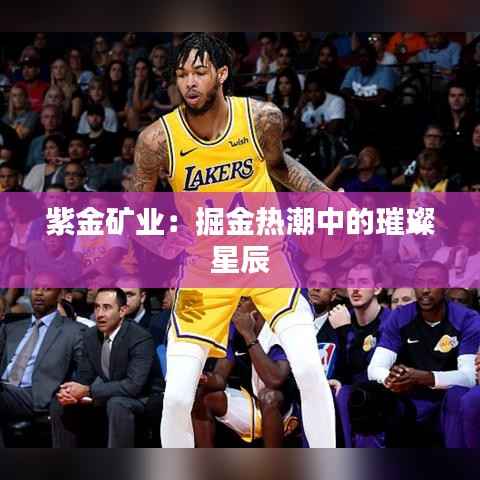 紫金矿业：掘金热潮中的璀璨星辰