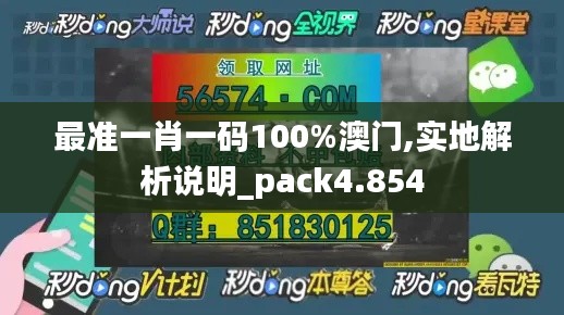 最准一肖一码100%澳门,实地解析说明_pack4.854