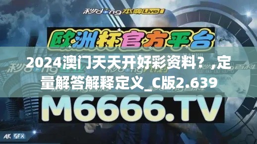 2024澳门天天开好彩资料？,定量解答解释定义_C版2.639