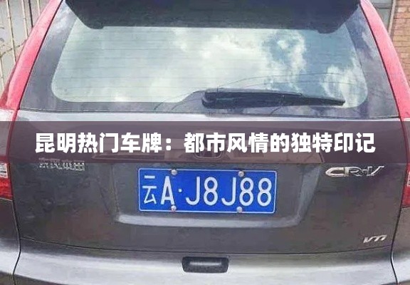 昆明热门车牌：都市风情的独特印记