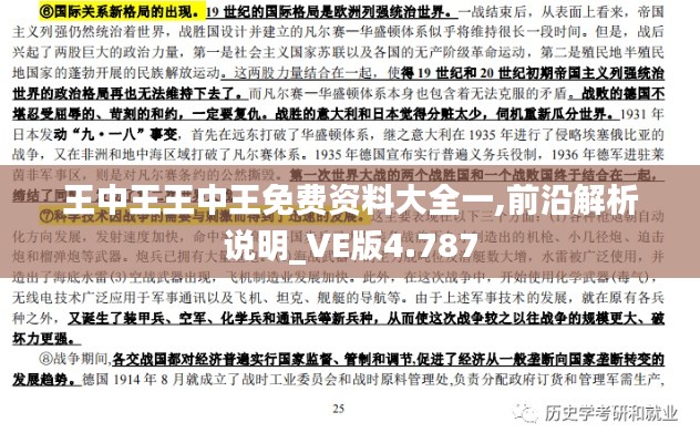 王中王王中王免费资料大全一,前沿解析说明_VE版4.787