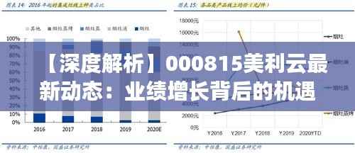 【深度解析】000815美利云最新动态：业绩增长背后的机遇与挑战