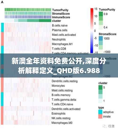 新澳全年资料免费公开,深度分析解释定义_QHD版6.988