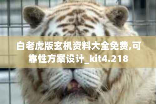 白老虎版玄机资料大全免费,可靠性方案设计_kit4.218
