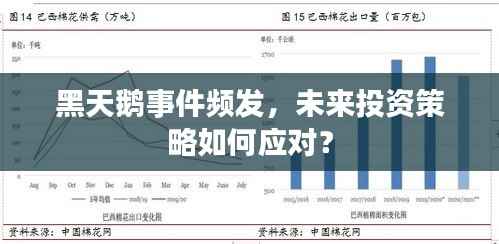 黑天鹅事件频发，未来投资策略如何应对？