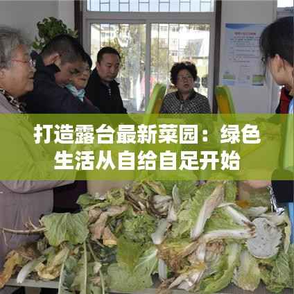 打造露台最新菜园：绿色生活从自给自足开始