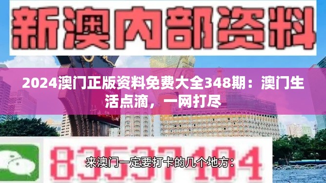 2024澳门正版资料免费大全348期：澳门生活点滴，一网打尽