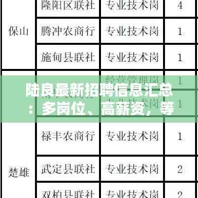 陆良最新招聘信息汇总：多岗位、高薪资，等你来挑战！