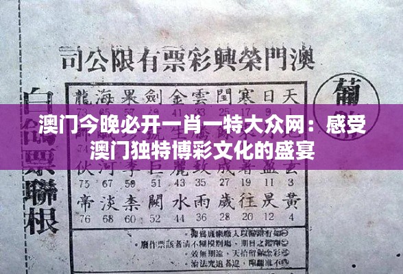 澳门今晚必开一肖一特大众网：感受澳门独特博彩文化的盛宴