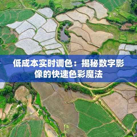 低成本实时调色：揭秘数字影像的快速色彩魔法