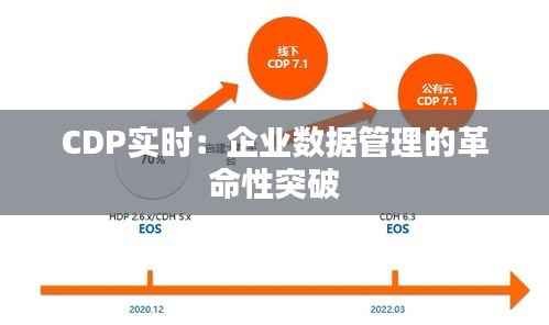 CDP实时：企业数据管理的革命性突破
