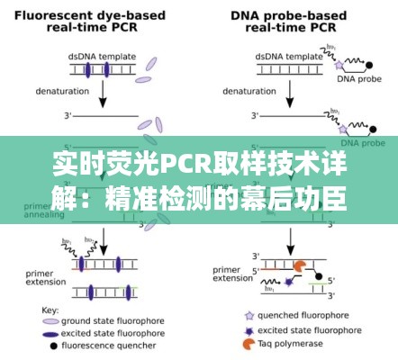 实时荧光PCR取样技术详解：精准检测的幕后功臣