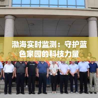 渤海实时监测:守护蓝色家园的科技力量