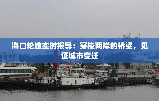 海口轮渡实时报导：穿梭两岸的桥梁，见证城市变迁