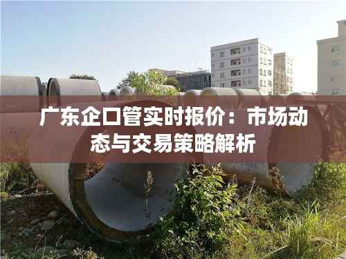广东企口管实时报价：市场动态与交易策略解析
