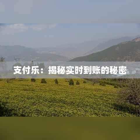 支付乐：揭秘实时到账的秘密