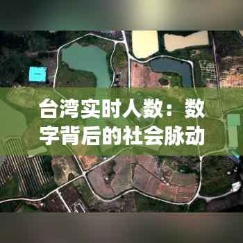 台湾实时人数：数字背后的社会脉动