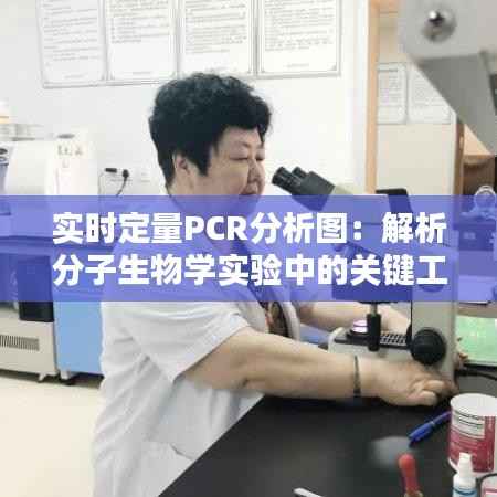 实时定量PCR分析图：解析分子生物学实验中的关键工具