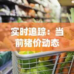 实时追踪：当前猪价动态分析及预测