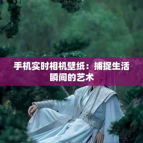 手机实时相机壁纸:捕捉生活瞬间的艺术