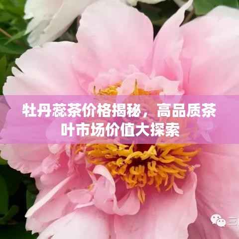 牡丹蕊茶价格揭秘，高品质茶叶市场价值大探索