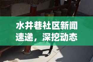 水井巷社区新闻速递，深挖动态，展现独特魅力