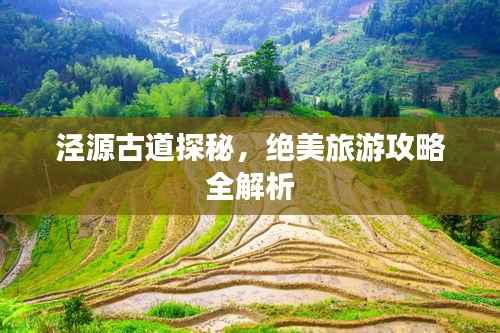 泾源古道探秘，绝美旅游攻略全解析