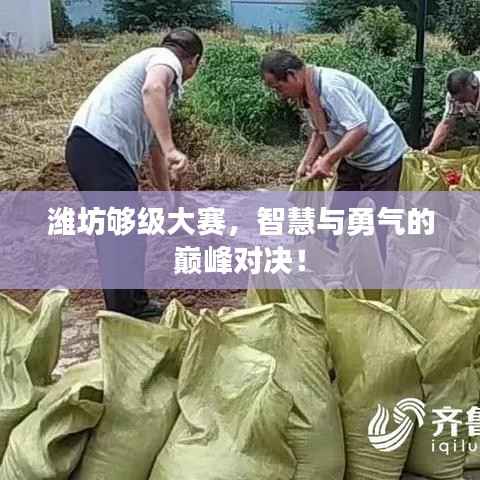 潍坊够级大赛，智慧与勇气的巅峰对决！