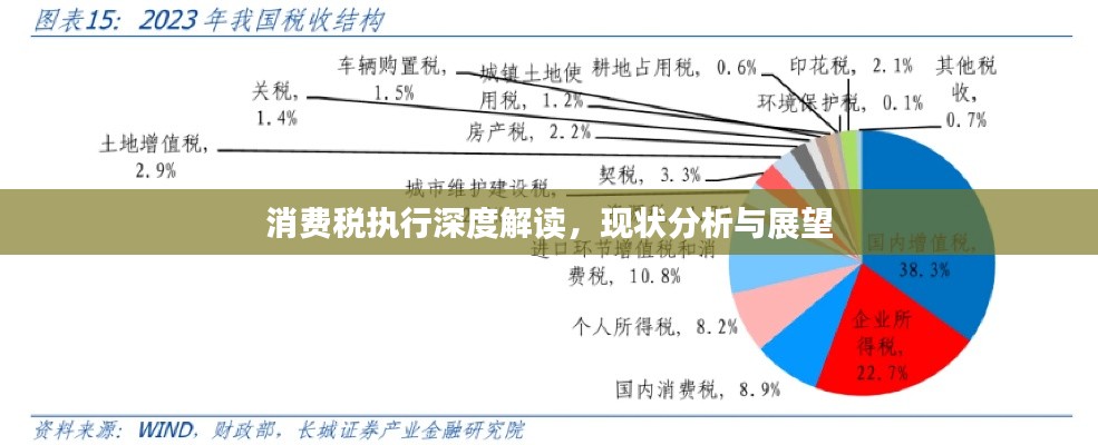 消费税执行深度解读，现状分析与展望