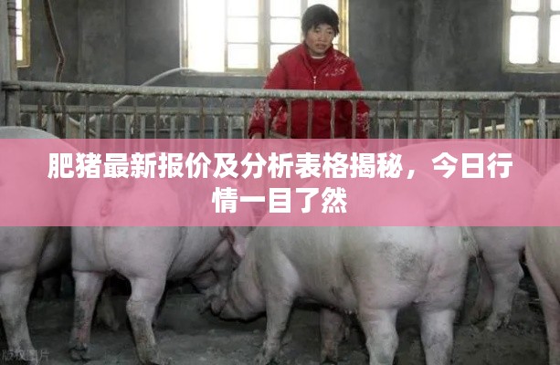 肥猪最新报价及分析表格揭秘，今日行情一目了然