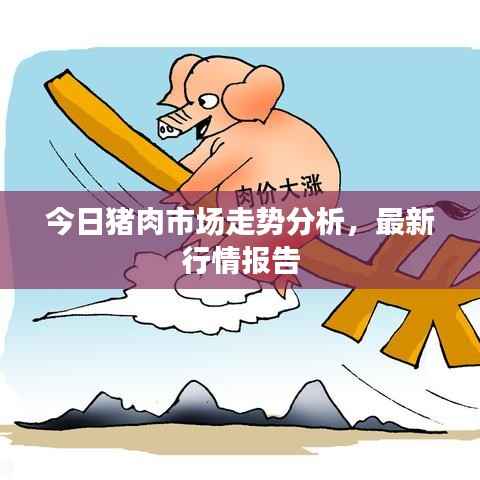 今日猪肉市场走势分析，最新行情报告