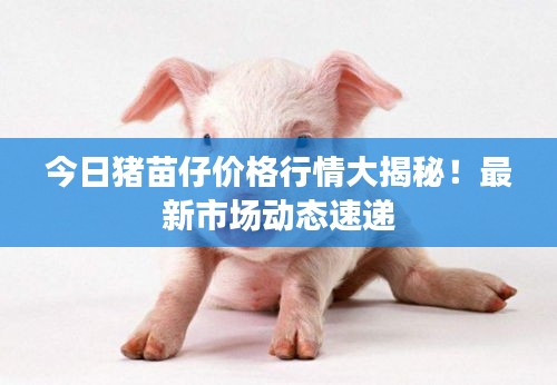 今日猪苗仔价格行情大揭秘！最新市场动态速递