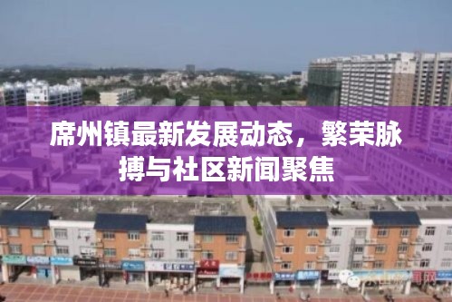 席州镇最新发展动态，繁荣脉搏与社区新闻聚焦