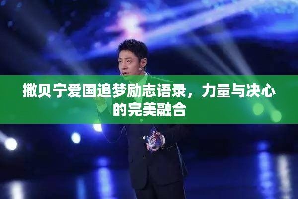 撒贝宁爱国追梦励志语录，力量与决心的完美融合