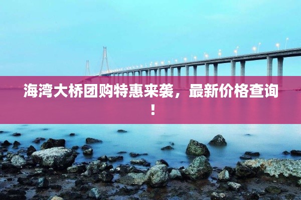 海湾大桥团购特惠来袭，最新价格查询！