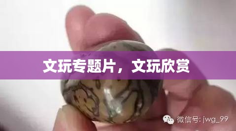 文玩专题片，文玩欣赏 