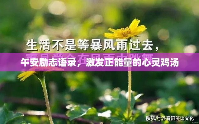 午安励志语录,激发正能量的心灵鸡汤