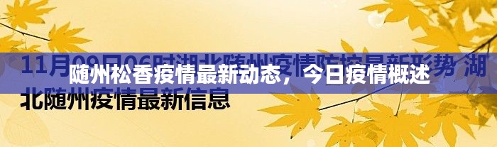 随州松香疫情最新动态，今日疫情概述