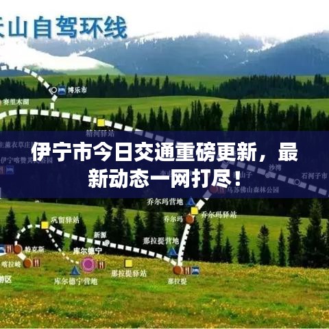 伊宁市今日交通重磅更新，最新动态一网打尽！