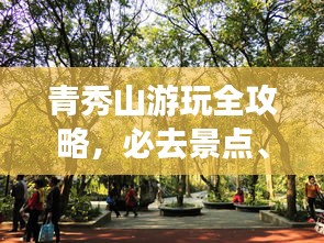 青秀山游玩全攻略，必去景点、交通指南与实用建议