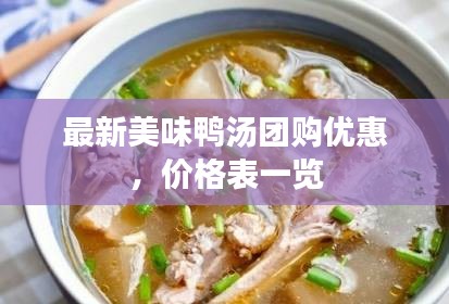最新美味鸭汤团购优惠，价格表一览