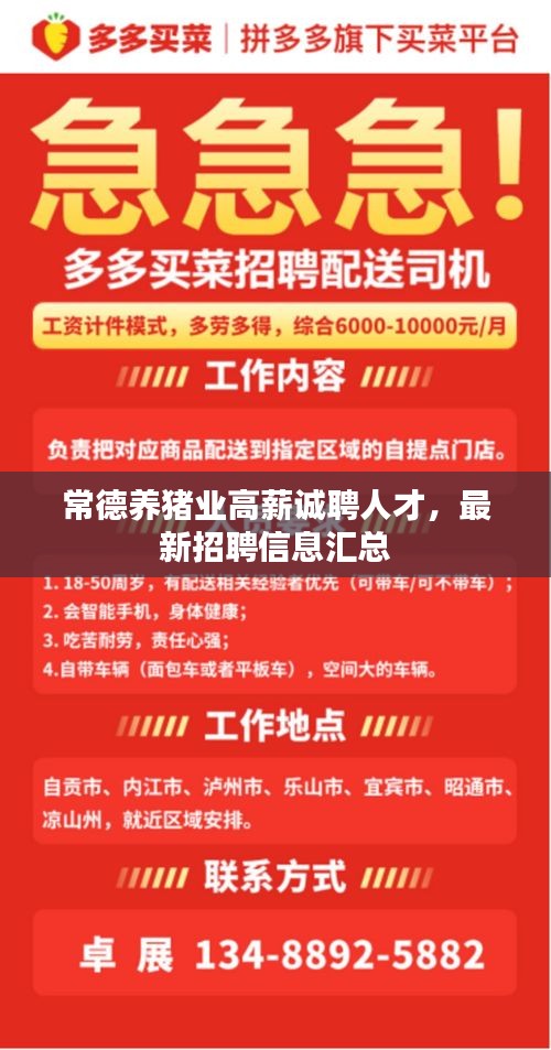 常德养猪业高薪诚聘人才，最新招聘信息汇总
