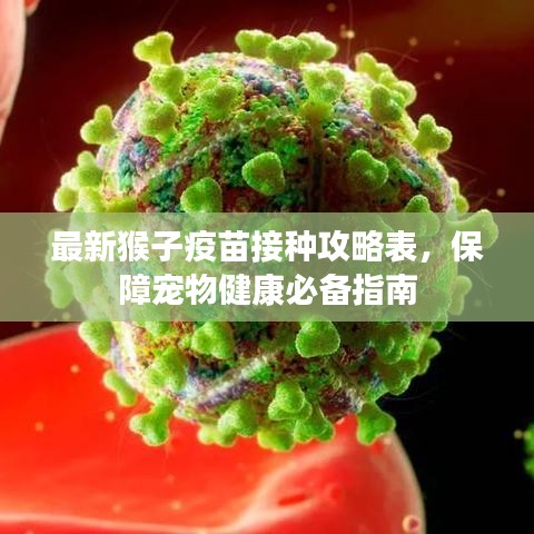 最新猴子疫苗接种攻略表，保障宠物健康必备指南
