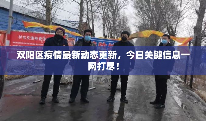 双阳区疫情最新动态更新，今日关键信息一网打尽！