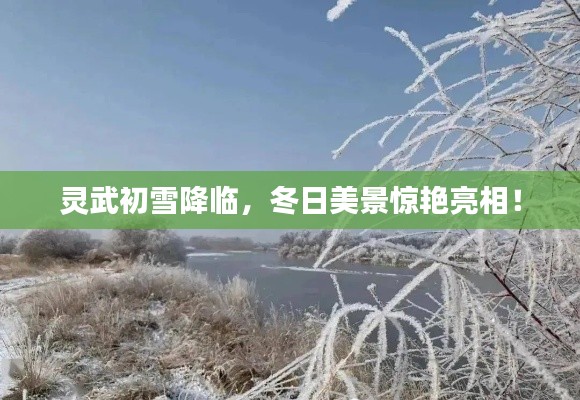 灵武初雪降临，冬日美景惊艳亮相！