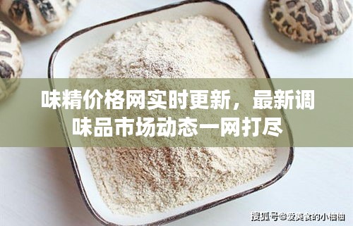味精价格网实时更新，最新调味品市场动态一网打尽