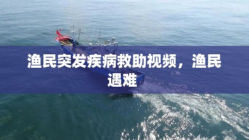 风度翩翩 第3页