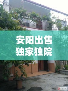 安阳出售独家独院房屋,2020年安阳小独院出售信息