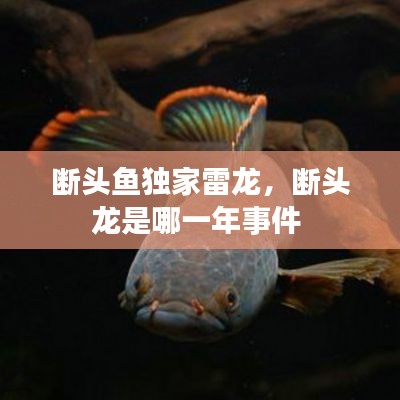 断头鱼独家雷龙，断头龙是哪一年事件 